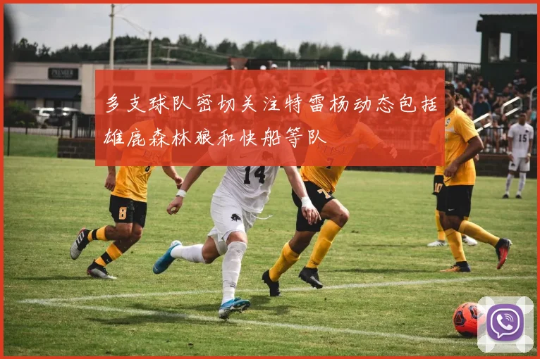 多支球队密切关注特雷杨动态包括雄鹿森林狼和快船等队