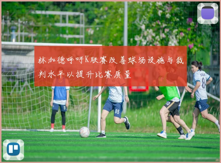 林加德呼吁K联赛改善球场设施与裁判水平以提升比赛质量