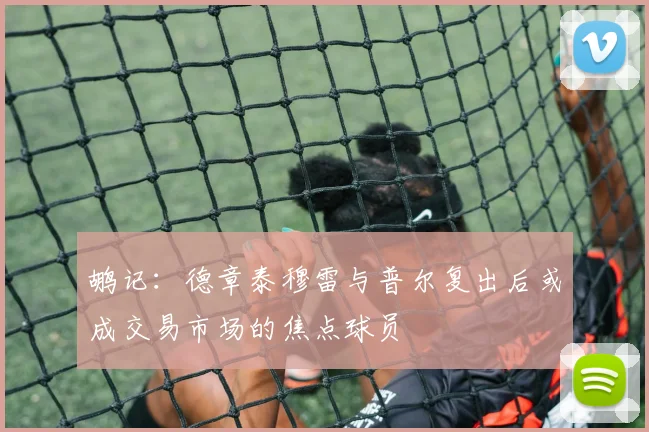 鹕记：德章泰穆雷与普尔复出后或成交易市场的焦点球员