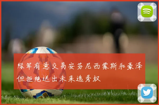 绿军有意交易安芬尼西蒙斯和豪泽但拒绝送出未来选秀权