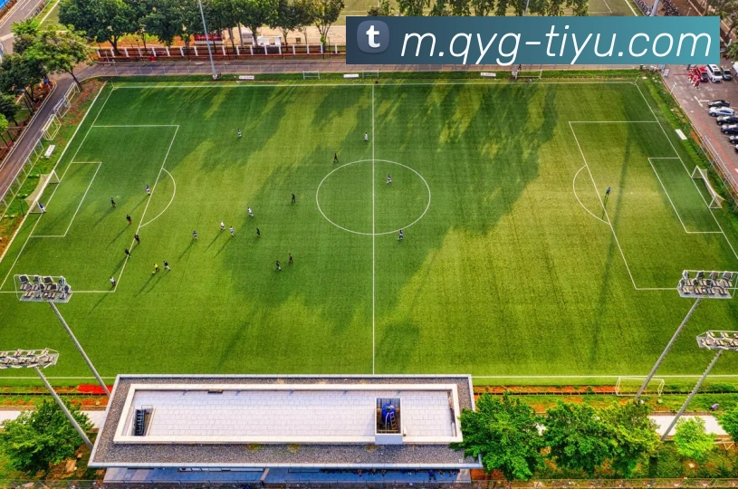 奇异果体育平台生态图