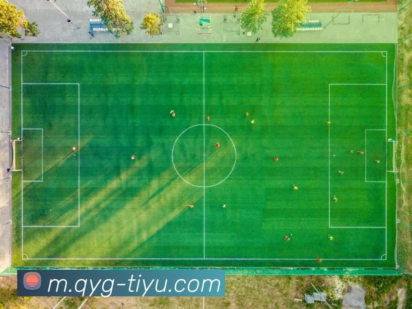 奇异果体育APP 封面图